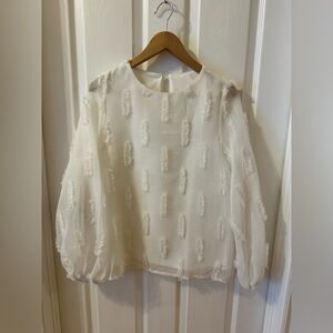 SHEIN White Sheer Textured Long-Sleeve Blouse